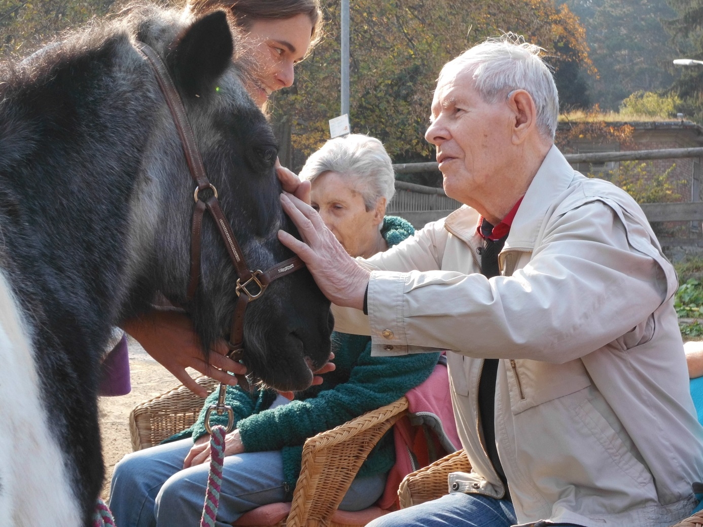 Equotherapie ©Österreichische Blindenwohlfahrt gemGmbH